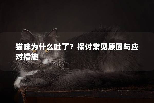 貓咪為什么吐了？探討常見原因與應對措施