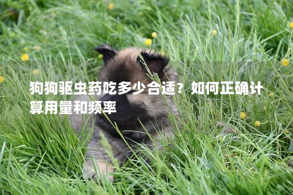 狗狗驅(qū)蟲藥吃多少合適？如何正確計(jì)算用量和頻率