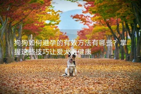 狗狗如何避孕的有效方法有哪些？掌握這些技巧讓愛犬更健康