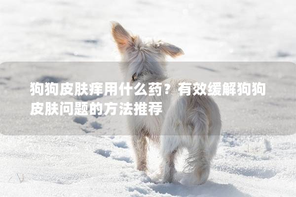 狗狗皮膚癢用什么藥？有效緩解狗狗皮膚問題的方法推薦