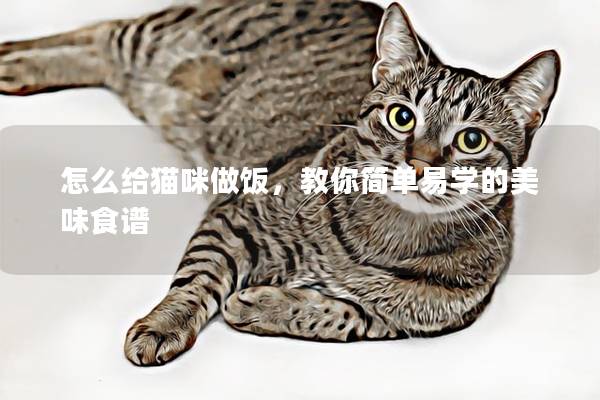 怎么給貓咪做飯，教你簡(jiǎn)單易學(xué)的美味食譜