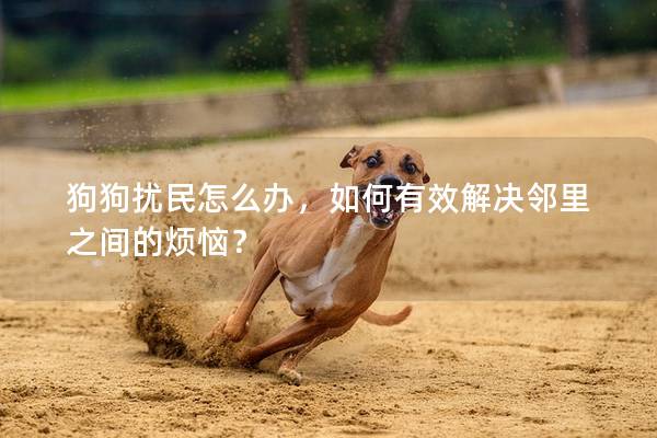 狗狗擾民怎么辦，如何有效解決鄰里之間的煩惱？