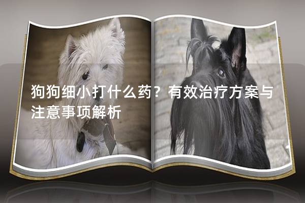 狗狗細小打什么藥？有效治療方案與注意事項解析