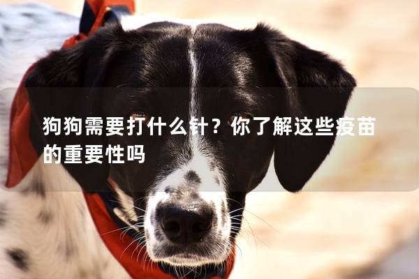 狗狗需要打什么針？你了解這些疫苗的重要性嗎