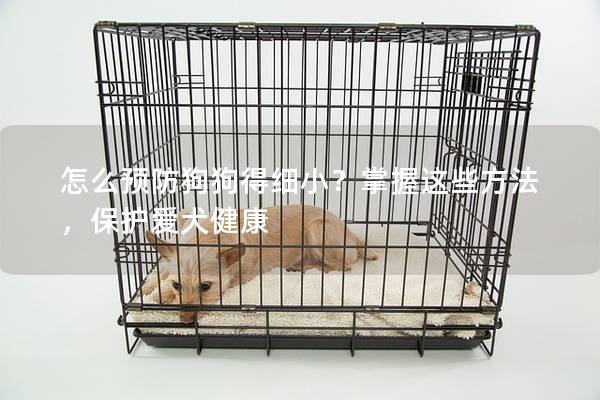怎么預防狗狗得細小？掌握這些方法，保護愛犬健康