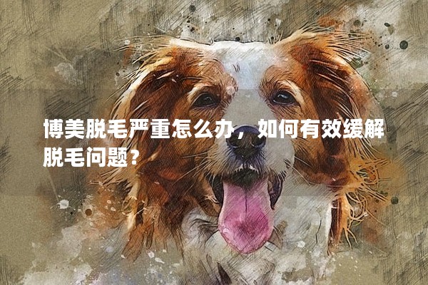 博美脫毛嚴重怎么辦,如何有效緩解脫毛問題? 博美脫毛嚴重怎么辦,如何有效緩解脫毛問題?