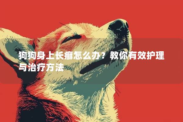 狗狗身上長癬怎么辦？教你有效護理與治療方法