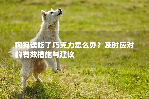 狗狗誤吃了巧克力怎么辦？及時應對的有效措施與建議