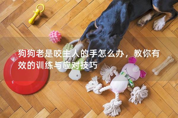 狗狗老是咬主人的手怎么辦,教你有效的訓練與應對技巧 狗狗老是咬主人的手怎么辦,教你有效的訓練與應對技巧