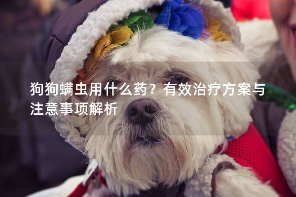 狗狗螨蟲用什么藥？有效治療方案與注意事項(xiàng)解析
