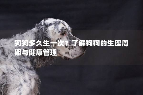 狗狗多久生一次？了解狗狗的生理周期與健康管理