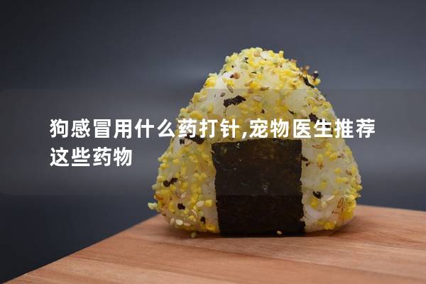 狗感冒用什么藥打針,寵物醫生推薦這些藥物