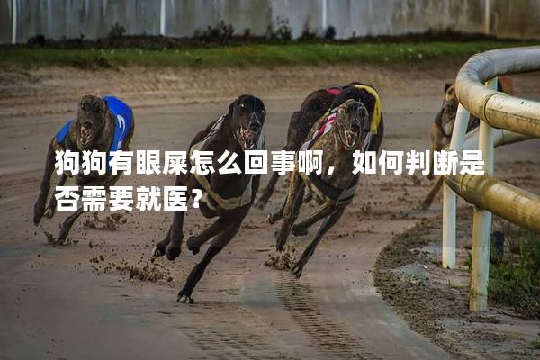 狗狗有眼屎怎么回事啊，如何判斷是否需要就醫？