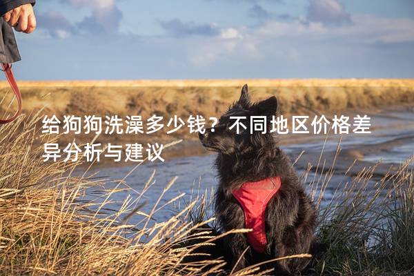 給狗狗洗澡多少錢？不同地區(qū)價格差異分析與建議