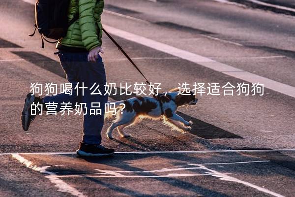 狗狗喝什么奶比較好，選擇適合狗狗的營養奶品嗎？