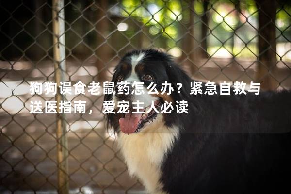 狗狗誤食老鼠藥怎么辦？緊急自救與送醫指南，愛寵主人必讀