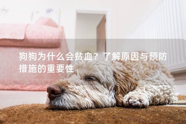狗狗為什么會(huì)貧血？了解原因與預(yù)防措施的重要性