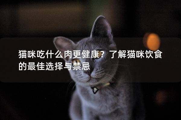 貓咪吃什么肉更健康?了解貓咪飲食的最佳選擇與禁忌 貓咪吃什么肉更健康?了解貓咪飲食的最佳選擇與禁忌
