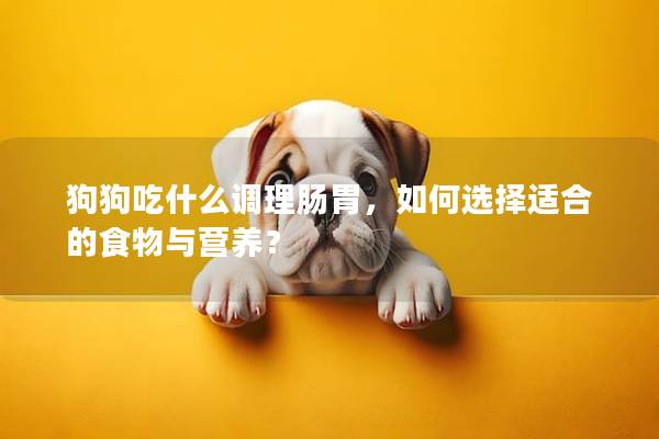 狗狗吃什么調理腸胃，如何選擇適合的食物與營養？