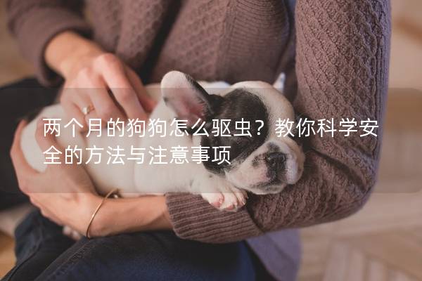 兩個月的狗狗怎么驅蟲？教你科學安全的方法與注意事項