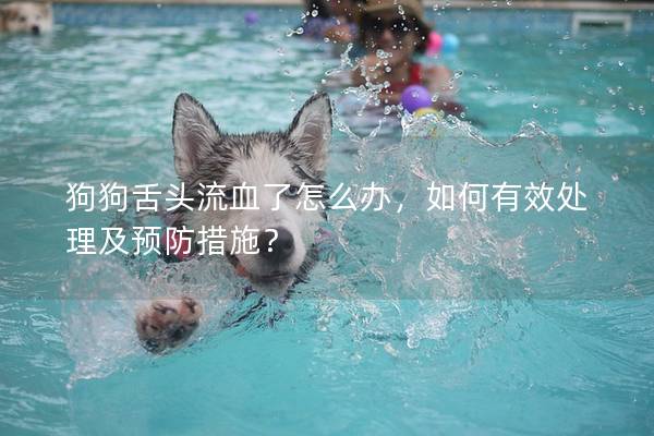 狗狗舌頭流血了怎么辦，如何有效處理及預(yù)防措施？