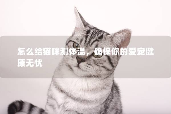 怎么給貓咪測體溫，確保你的愛寵健康無憂