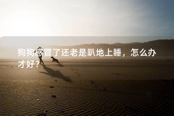 狗狗感冒了還老是趴地上睡，怎么辦才好？