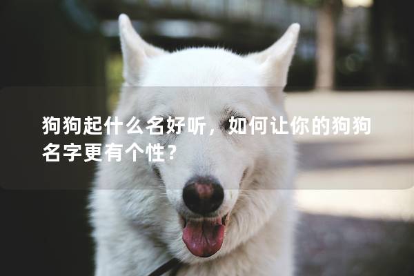 狗狗起什么名好聽,如何讓你的狗狗名字更有個性? 狗狗起什么名好聽,如何讓你的狗狗名字更有個性?