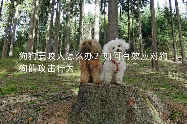 狗狗要咬人怎么辦？如何有效應對狗狗的攻擊行為
