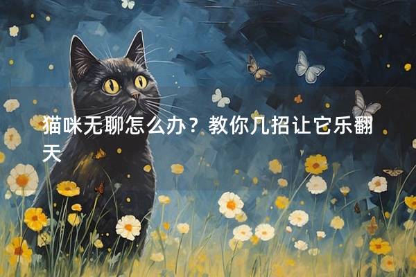 貓咪無聊怎么辦?教你幾招讓它樂翻天 貓咪無聊怎么辦?教你幾招讓它樂翻天