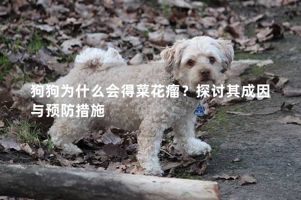 狗狗為什么會得菜花瘤？探討其成因與預防措施