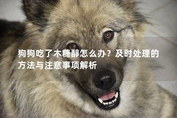 狗狗吃了木糖醇怎么辦？及時處理的方法與注意事項解析