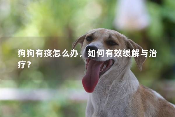 狗狗有痰怎么辦，如何有效緩解與治療？