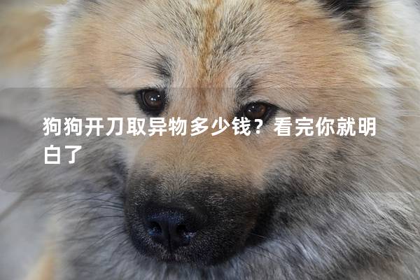 狗狗開刀取異物多少錢？看完你就明白了