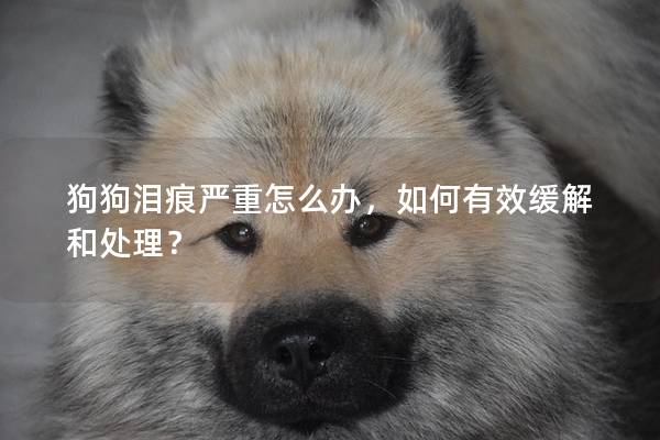 狗狗淚痕嚴重怎么辦，如何有效緩解和處理？