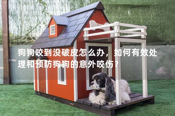 狗狗咬到沒破皮怎么辦,如何有效處理和預防狗狗的意外咬傷? 狗狗咬到沒破皮怎么辦,如何有效處理和預防狗狗的意外咬傷?