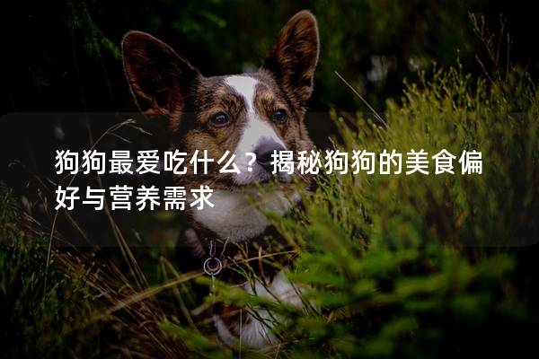 狗狗最?lèi)?ài)吃什么？揭秘狗狗的美食偏好與營(yíng)養(yǎng)需求