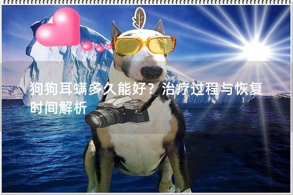 狗狗耳螨多久能好？治療過程與恢復時間解析