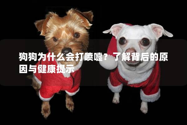 狗狗為什么會打噴嚏?了解背后的原因與健康提示 狗狗為什么會打噴嚏?了解背后的原因與健康提示