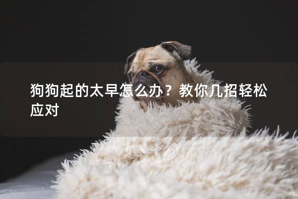 狗狗起的太早怎么辦？教你幾招輕松應對