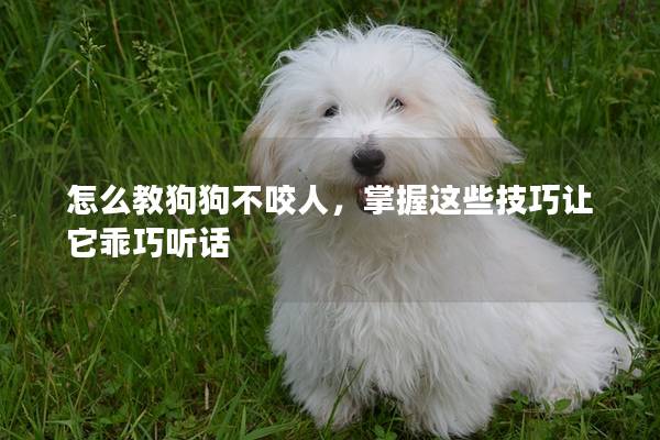 怎么教狗狗不咬人，掌握這些技巧讓它乖巧聽話