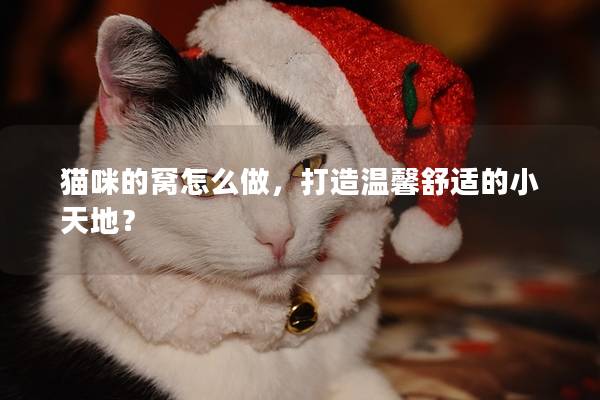 貓咪的窩怎么做，打造溫馨舒適的小天地？