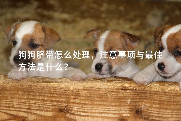 狗狗臍帶怎么處理,注意事項與最佳方法是什么? 狗狗臍帶怎么處理,注意事項與最佳方法是什么?