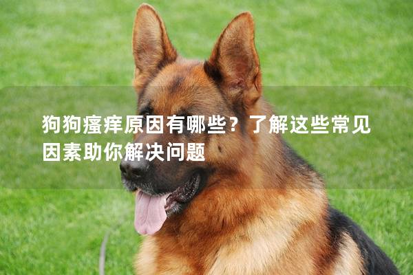 狗狗瘙癢原因有哪些?了解這些常見因素助你解決問題 狗狗瘙癢原因有哪些?了解這些常見因素助你解決問題