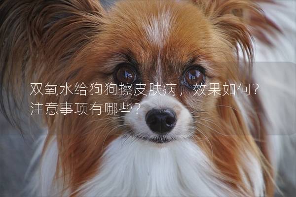 雙氧水給狗狗擦皮膚病,效果如何?注意事項有哪些? 雙氧水給狗狗擦皮膚病,效果如何?注意事項有哪些?