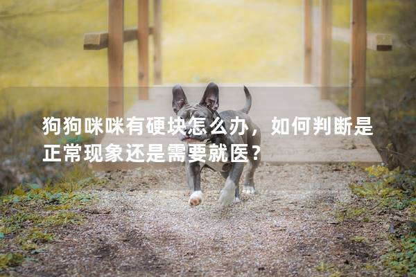 狗狗咪咪有硬塊怎么辦，如何判斷是正常現象還是需要就醫？