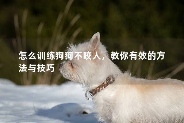 怎么訓(xùn)練狗狗不咬人，教你有效的方法與技巧