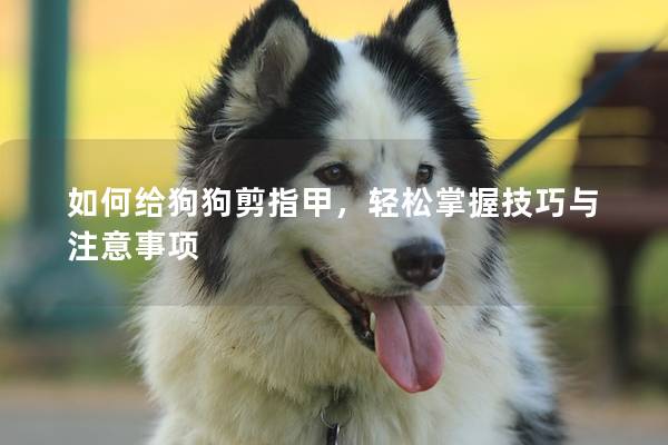 如何給狗狗剪指甲，輕松掌握技巧與注意事項