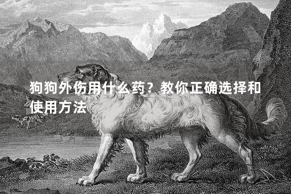 狗狗外傷用什么藥?教你正確選擇和使用方法 狗狗外傷用什么藥?教你正確選擇和使用方法