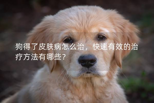 狗得了皮膚病怎么治，快速有效的治療方法有哪些？